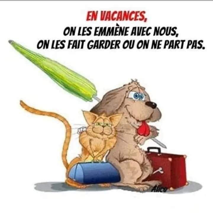 Les vacances arrivent !!