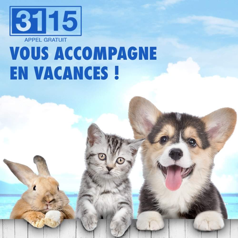 3115 Partout avec vous !